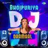 Patna Shaharia Main Jao Rani - DJ Mix song lyrics