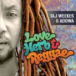 Love Herb & Reggae by Taj Weekes & Adowa album reviews, ratings, credits
