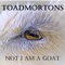 I'm Not Here - The Toadmortons lyrics