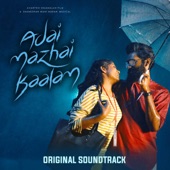 Nila Nila (From "Adai Mazhai Kaalam" Original Soundtrack) artwork