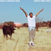 Good Vibes Only (feat. Espacio Dios) artwork