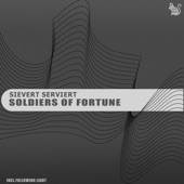 Soldiers of Fortune (Following Light Remix) artwork