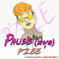 Pause - Single by P'ZEE album reviews, ratings, credits