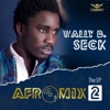 Afromix 2 - EP