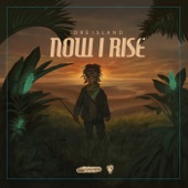 Now I Rise artwork