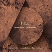 Hildo (feat. Stein Urheim, Steinar Raknes & Kåre Opheim) artwork