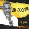 Vai Cocota song lyrics