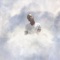 Use Me (feat. leelo blue) - Tajmir Graves lyrics