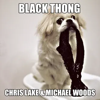 Black Thong by Chris Lake & Michael Woods song reviws