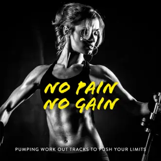 No Pain No Gain: Pumping Work out Tracks to Push Your Limits by Various Artists album reviews, ratings, credits