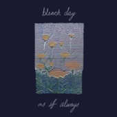 Bleach Day - the calm