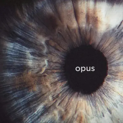 Opus (feat. Daniel Adair) - Single - Swollen Members