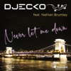 Never Let Me Down (feat. Nathan Brumley) - Single