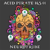 Acid Pirate Hs01 artwork