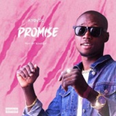 Promise artwork