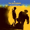 The Soft Bulletin, 1999