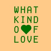 What Kind Of Love artwork