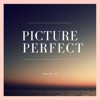 Picture Perfect - Single