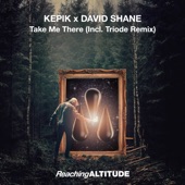 Take Me There (Triode Radio Edit) artwork