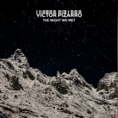 The Night We Met (Spanish Version) artwork