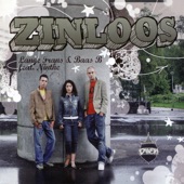 Zinloos (Instrumental) artwork