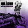 Dirty Dozen Brass Band & Dr. John - Such a Night