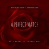A Perfect Match (feat. Lauryn Hill) - Single