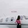 Sebi - Dare To Dream Version by Zala Kralj & Gašper Šantl iTunes Track 1