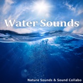 Water Sounds -Pure Sounds of Water and Aqua- artwork