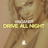 Drive All Night - Single