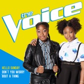 Don't You Worry 'Bout a Thing (The Voice Performance) artwork