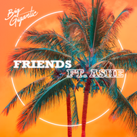 Big Gigantic - Friends (feat. Ashe) artwork