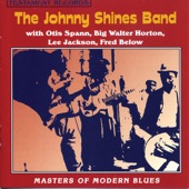 The Johnny Shines Band - Trouble Is All I See