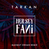 Her Şey Fani (Mahmut Orhan Remix) artwork