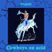 Cowboys On Acid artwork