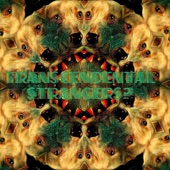 Transcendental Strangers? - Transcend