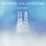 Andreas Vollenweider - Flight Feet and Root Hands (feat. Walter Keiser & Pedro Haldemann)