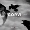 Corvi artwork