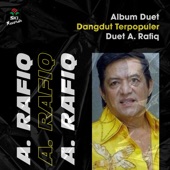 Album Duet Dangdut Terpopuler a. Rafiq artwork