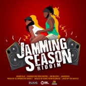 Jamming Season Riddim (Instrumental) artwork