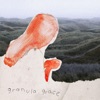 Granula Grace - Промені