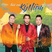 Bài Ca Kỷ Niệm artwork