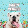 Candy Perreo (feat. Dj Kelvin & Kazu) - Single