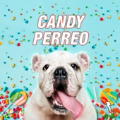 Candy Perreo (feat. Dj Kelvin & Kazu) artwork