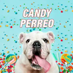 Candy Perreo (feat. Dj Kelvin & Kazu) - Single - Dj Peligro