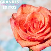 Grandes Éxitos artwork