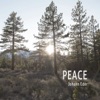 Peace - EP