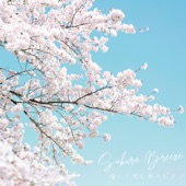 Sakura Breeze - 優しく包む春のピアノ artwork