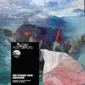 We Stand Our Ground (Inspired by 'the Outlaw Ocean' a book by Ian Urbina) artwork