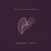 Perfect Love (feat. Kristen DeShazo) artwork
